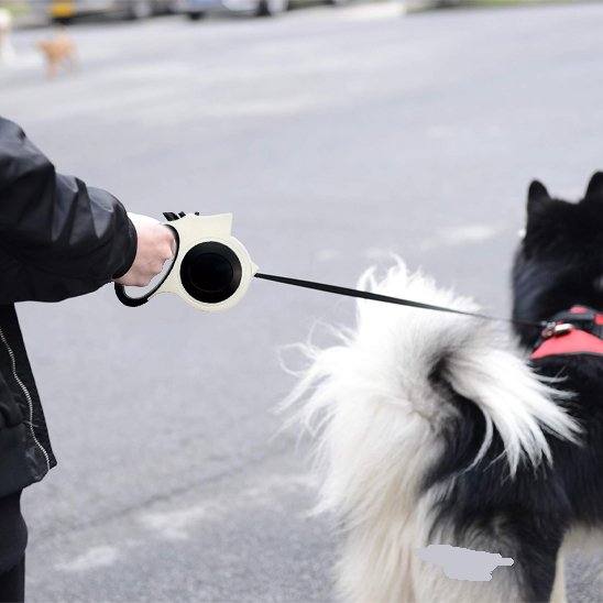Laisse pour chien | Innovation Lumière