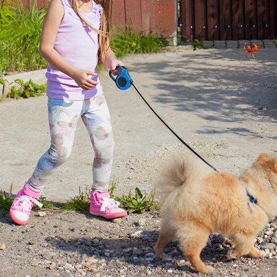 Laisse pour chien | FreedomLine