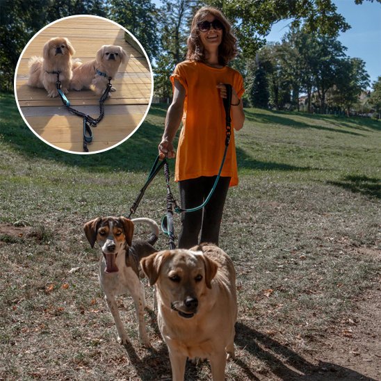 Double laisse pour chien | Twin Walk