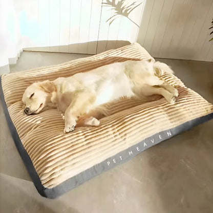 Coussin chien | Ultra-confortable
