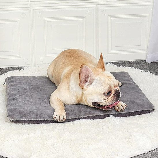 Tapis pour chien | Confort Peluche