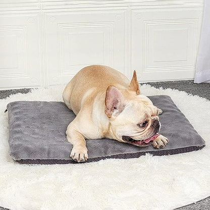 Tapis pour chien | Confort Peluche