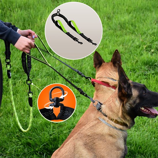 Double laisse pour chien | Twin Walk