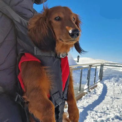 Sac de Transport pour Chien - WoofWalk - Noir